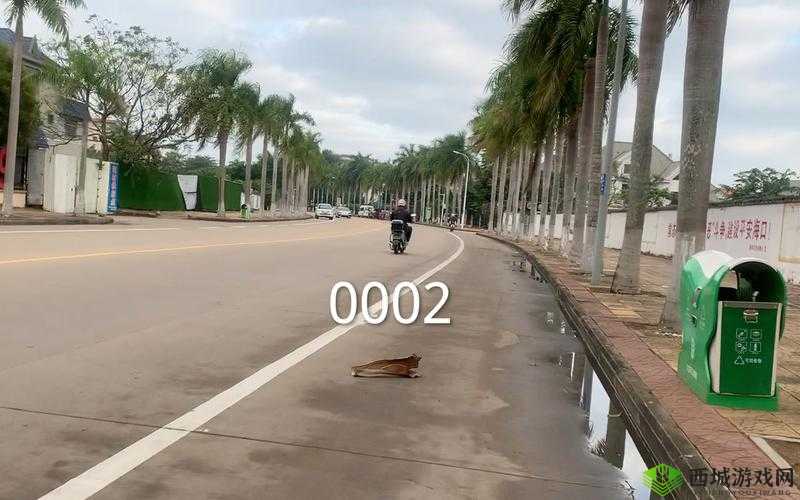 公交车上的诗意时光