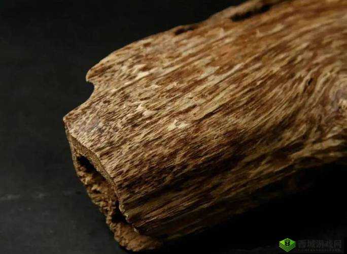 沉香一线产区：探寻珍稀香韵的源头