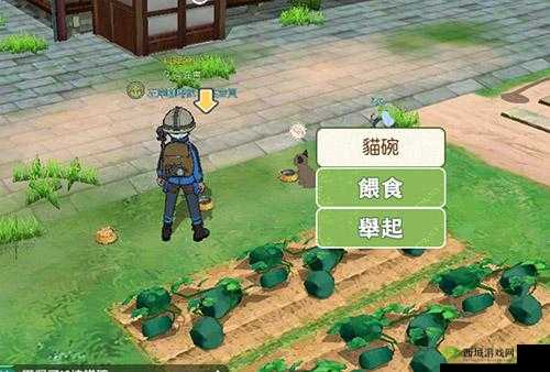 小森生活中猫碗放不了该如何解决及相关处理办法探讨