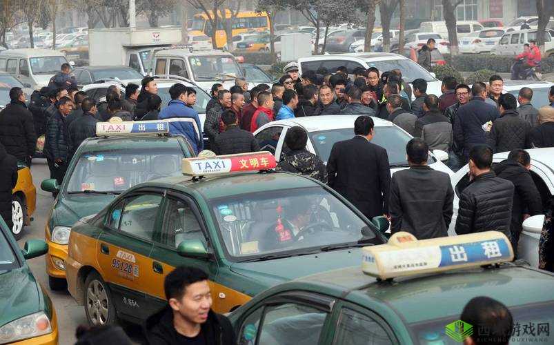 1V7 事件：多肉多车引发热议