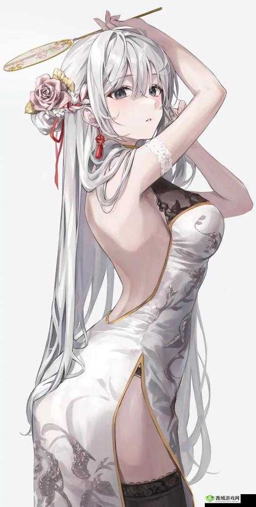 P 站最红帝都极品的独特魅力