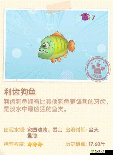 摩尔庄园手游狗鱼的刷新位置全面汇总 你想知道的都在这里