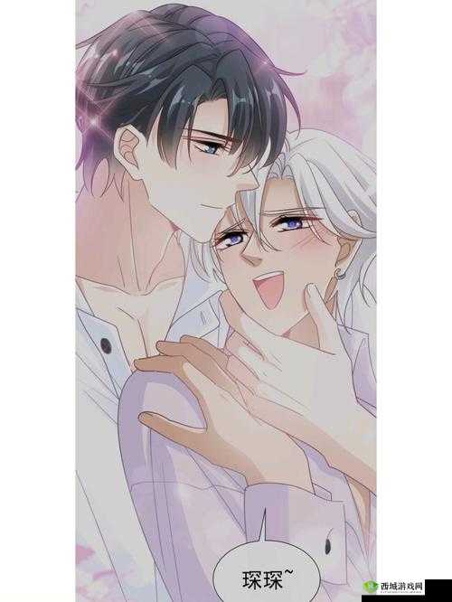 周家日常 3ph 乔舒乔舒科技模块：家庭生活的科技之美