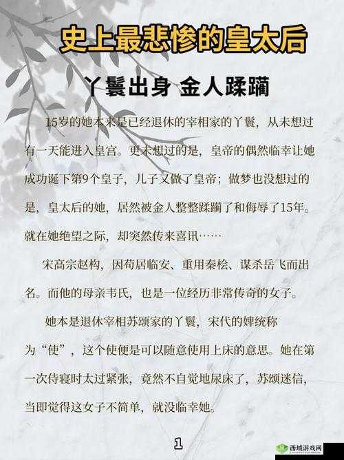 小说：大臣干群皇太后：权力与欲望的纠葛