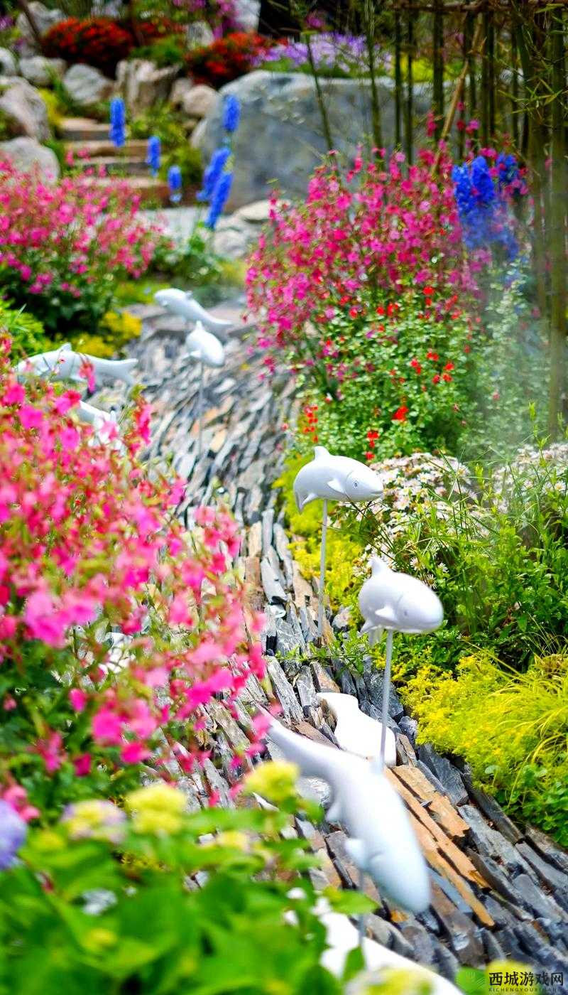 hj.18app 污污污：探索别样精彩世界