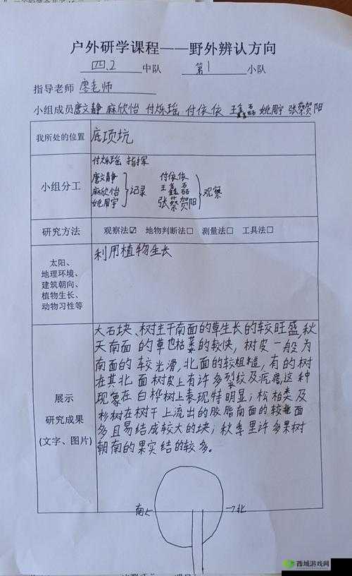 六年级自扣：探索成长的私密领域