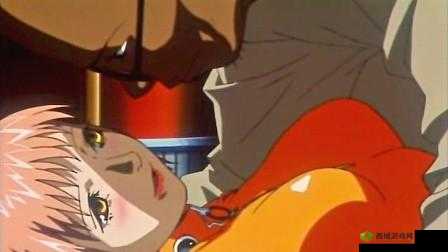 エロワンピースエロい:日本成人动画作品