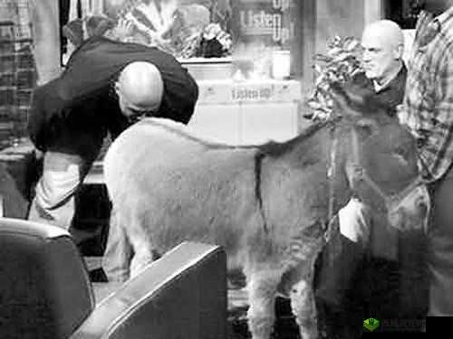 成年人影院：人兽交配引争议