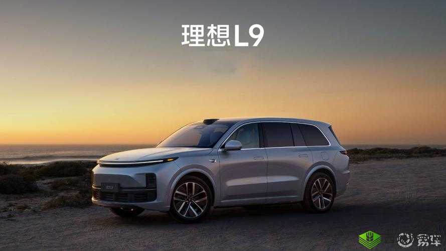 497799 欧洲版国产 SUV：家庭出行的理想之选