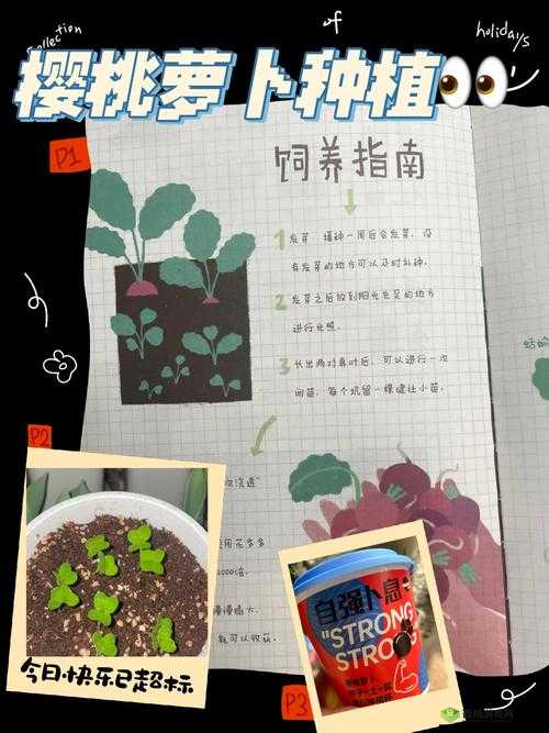 免费拔萝卜直播怎么赚钱：实用盈利指南