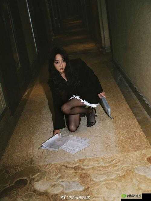 探花 xxxxx 的别样风采