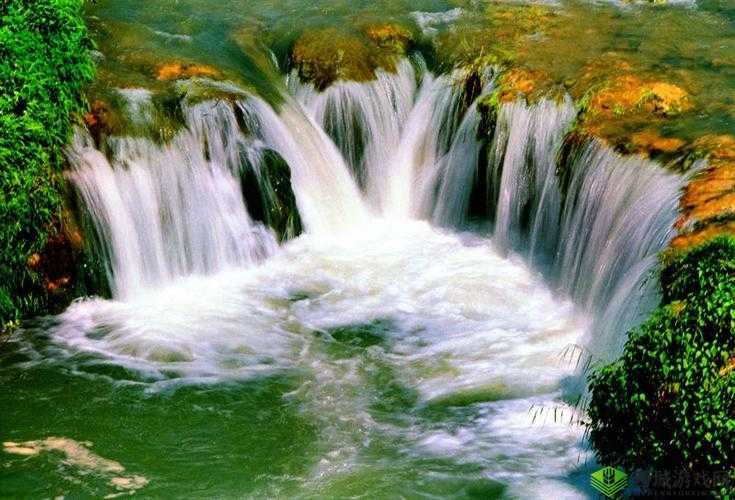 水帘白瀑如饥似渴一丛金黄：自然之美如画