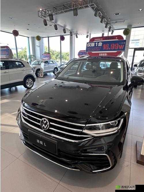 欧洲版国产SUV：畅享卓越驾乘体验