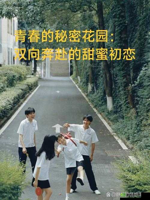 男生女生在一起：探寻青春的秘密