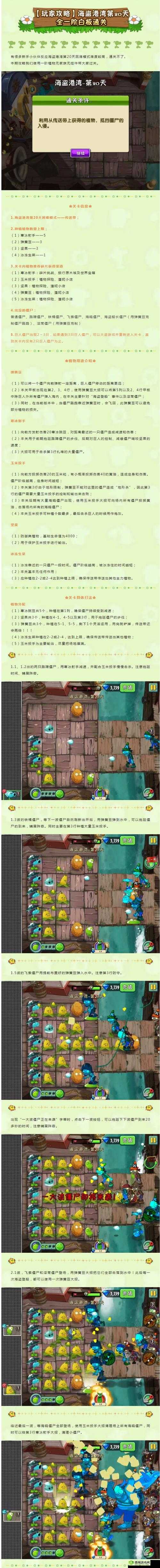 植物大战僵尸 2 海滩世界第 7 关视频攻略 全面详细通关指南