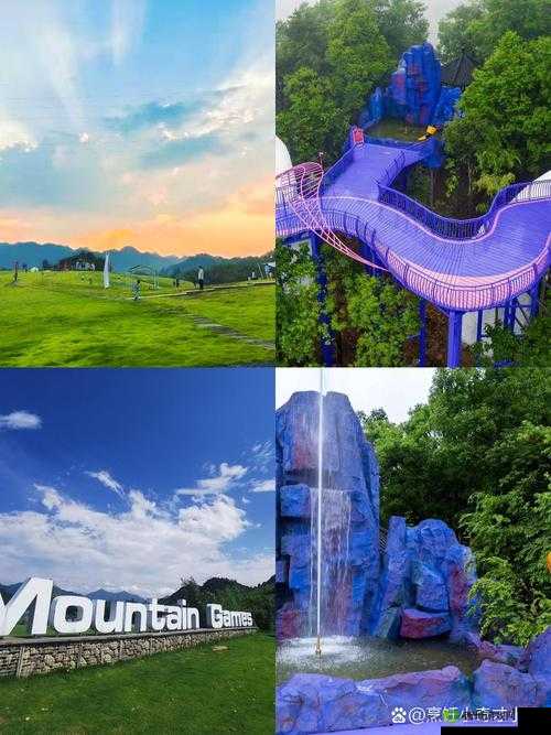 仙踪林官网：带你领略奇幻世界