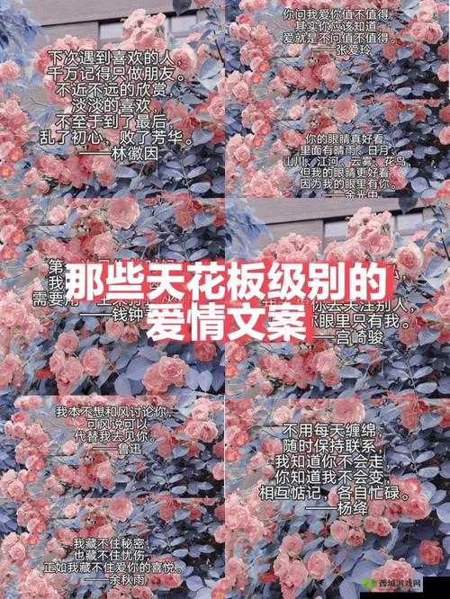 可不可以干湿你：一句引发热议的网络金句