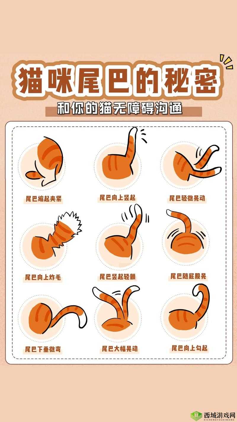 桂花婶的宝贝：那 9 曲 18 弯的秘密