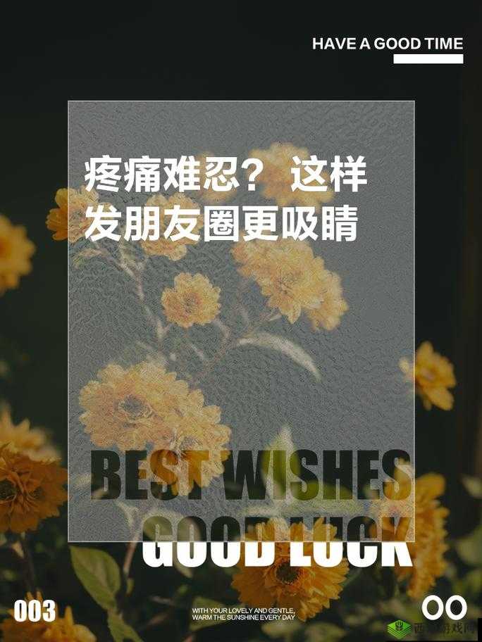 阿痛痛疼疼疼疼:难以忍受的痛楚