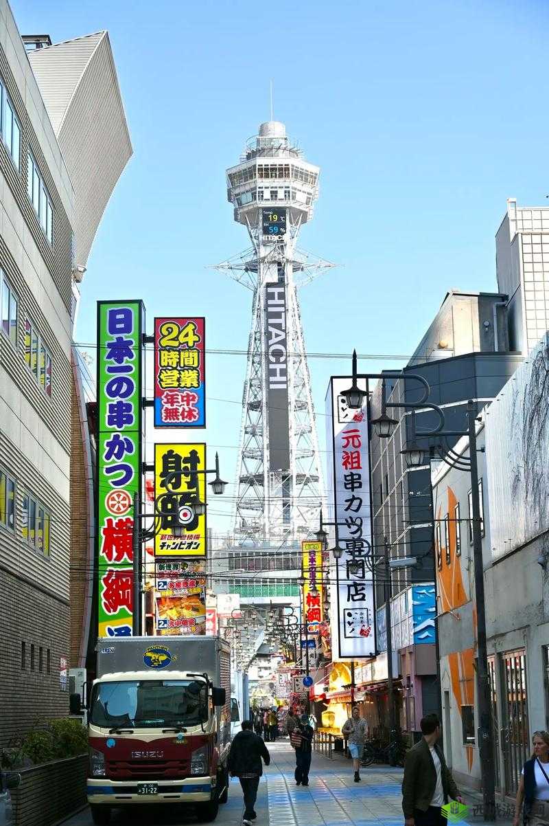 日本综合一区:独具特色的区域风貌