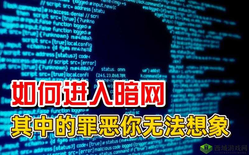 暗网性巴克：探索其神秘与罪恶