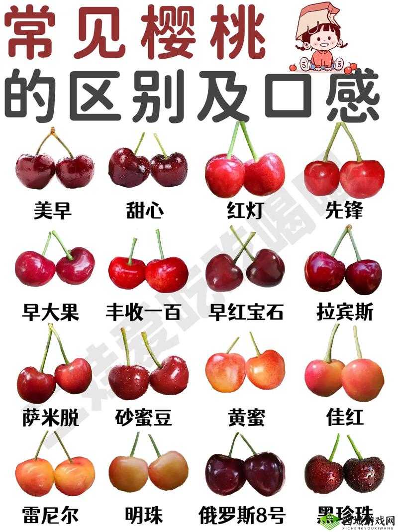 红颜樱桃与黄蜜樱桃的区别-外观口感等不同