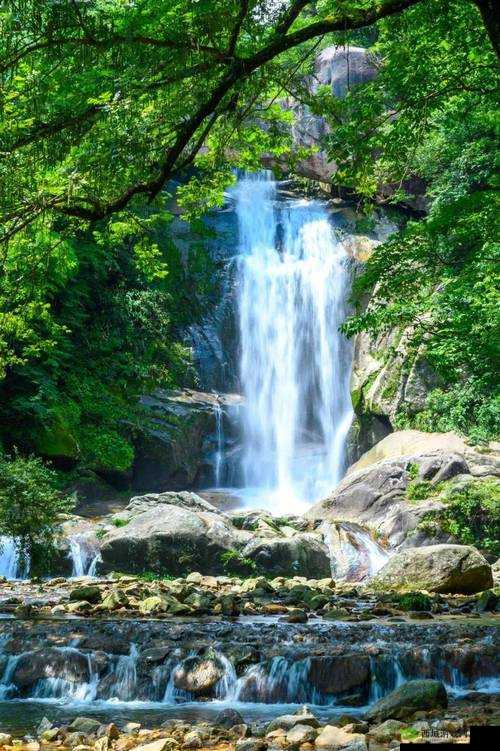 水帘白瀑如饥似渴一丛金黄:自然奇景