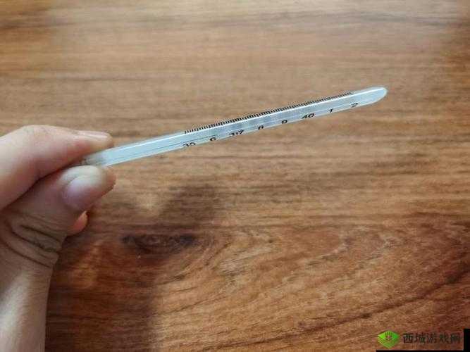 温度计 PLAY 检查：探索温度的奇妙之旅