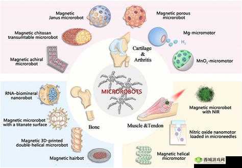 鎔鎔互分仃及乾中凶中貉棵:解析其含义