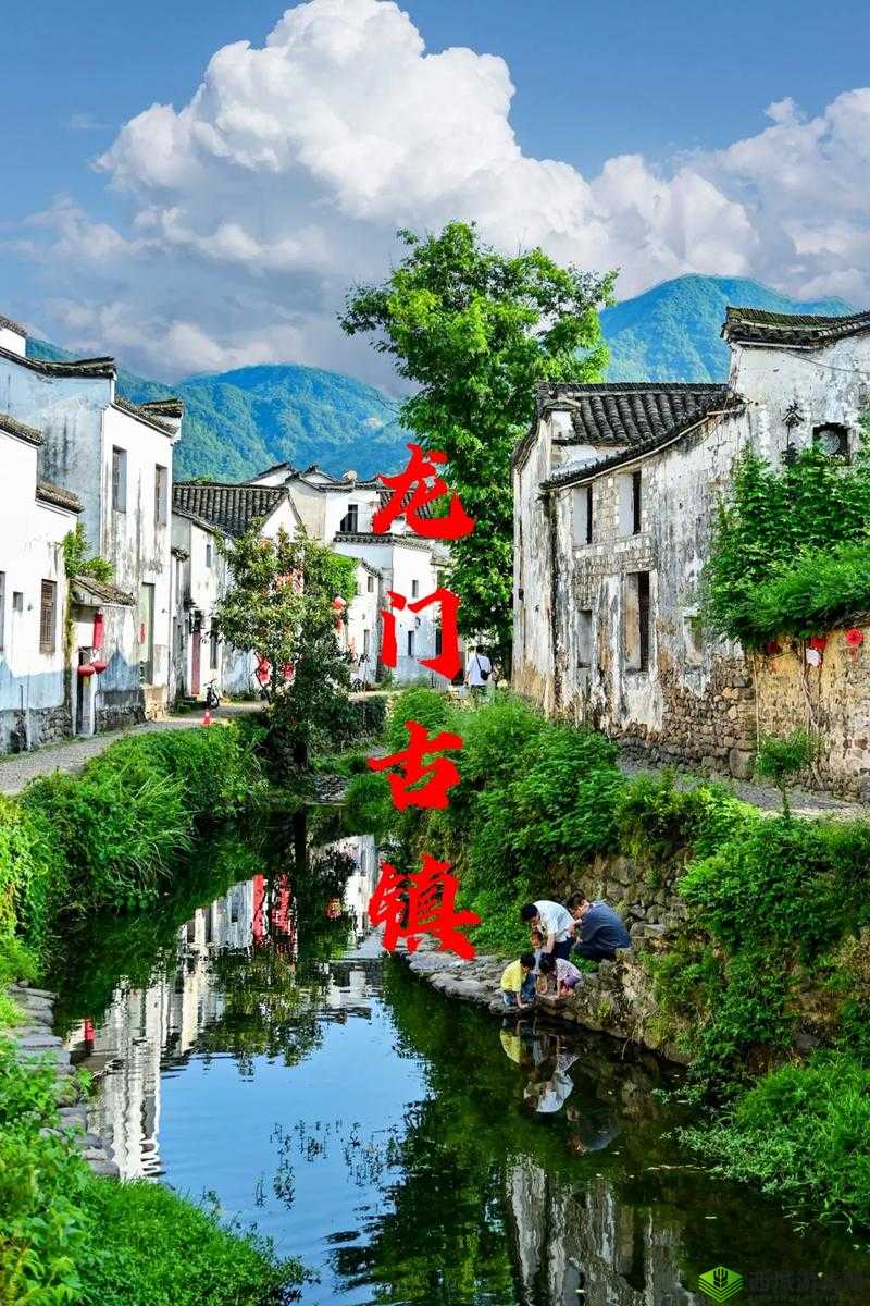 老太太毛片：被遗忘的宝藏