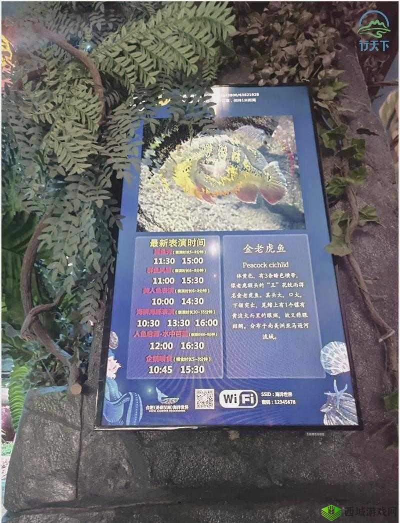 探索梦雪乡 5.2A 隐藏英雄密码的神秘之旅