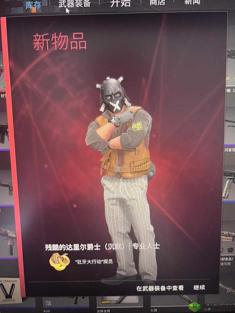 探秘暴躁老阿姨 CSGO：揭秘游戏背后的故事