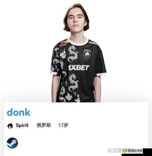 17 岁俄罗斯 CSGO 玩家的电竞之路