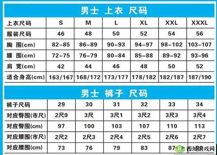欧洲尺码 EU44N：时尚新选择