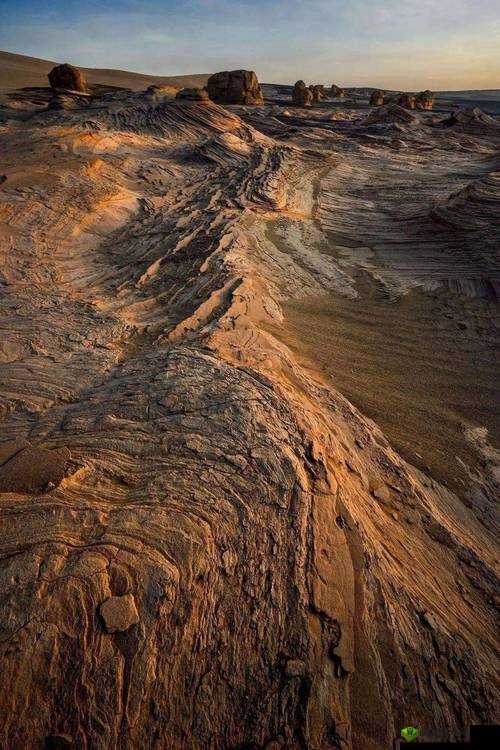 亚二新区乱码无人区二：神秘的特殊区域