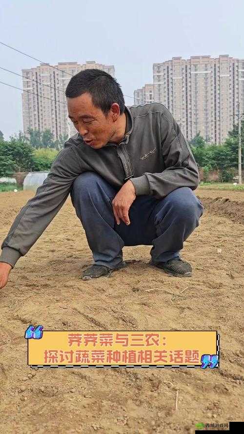 农村屌耕屄相关话题探讨