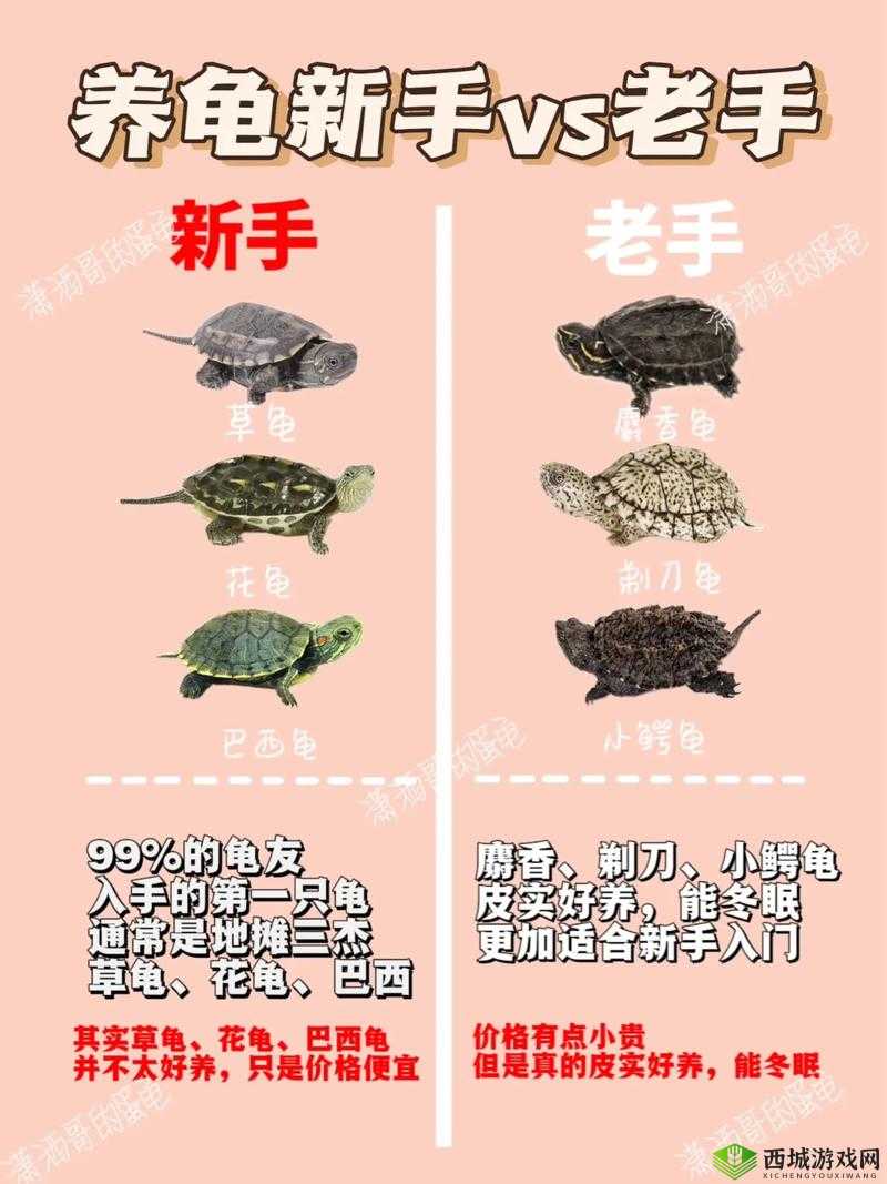 战神崛起游戏通关秘籍 新手老手都适用的详细攻略指南