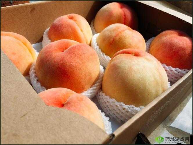 X7X7X7X7 水蜜桃可无限制进入：探索无尽的甜蜜之旅