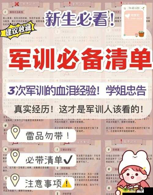 军训大作战第11关攻略大全：轻松突破难关实战指南