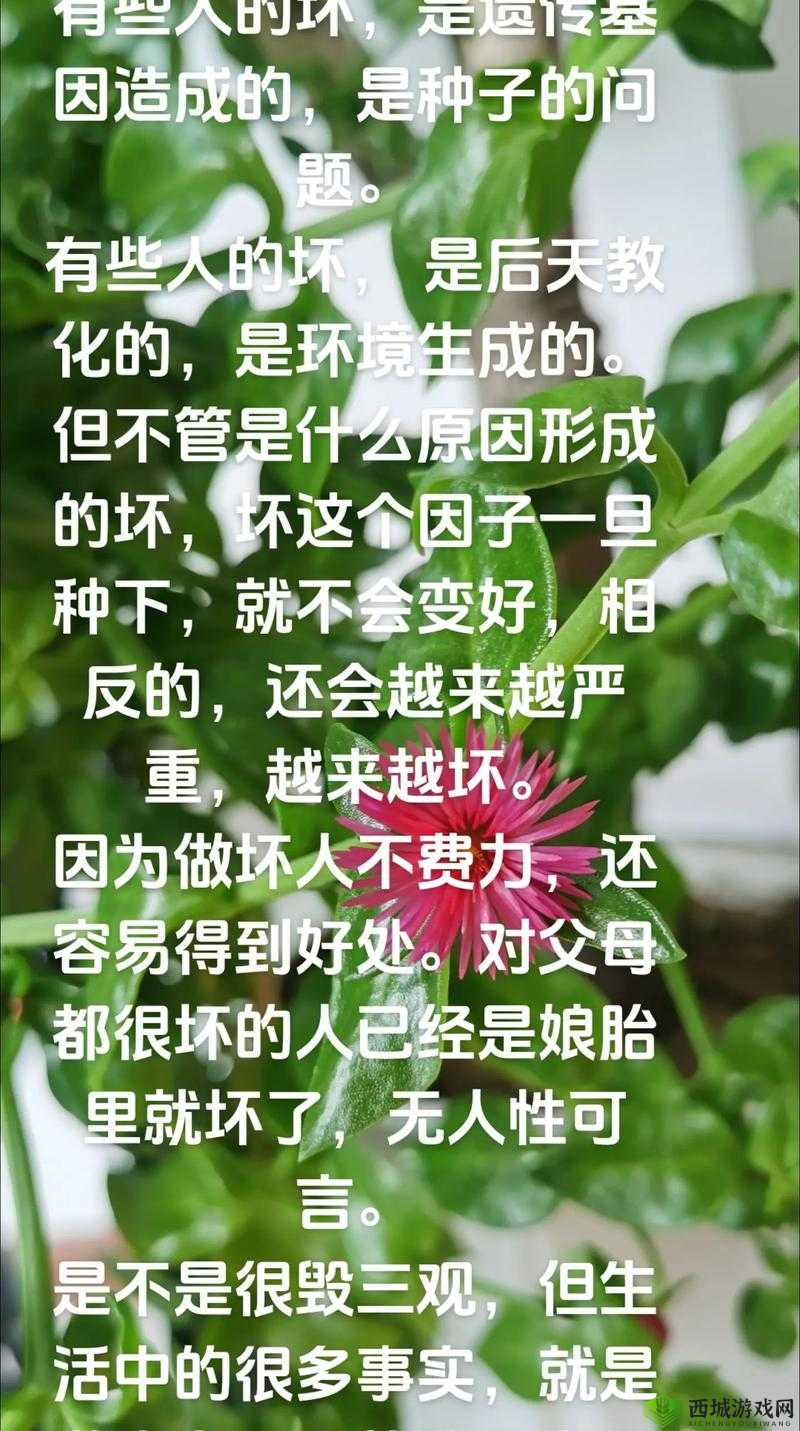 二弟太小的原因:生理遗传与后天环境影响