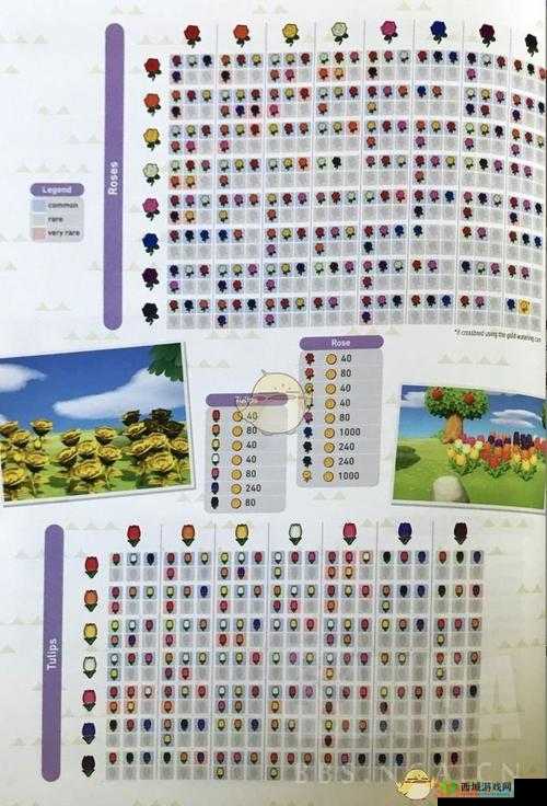 《集合啦动物森友会快乐家协会评分分级全解析》