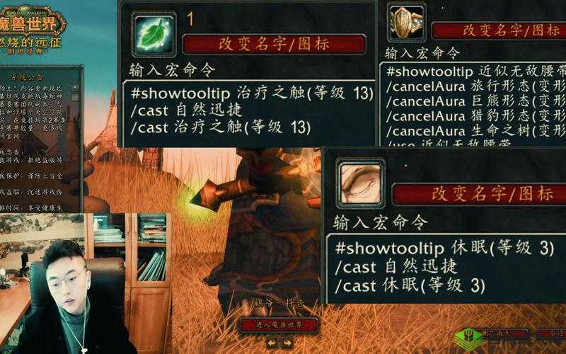 魔兽世界怀旧服德鲁伊的必学宏指南:高效实用宏推荐助你征战野外