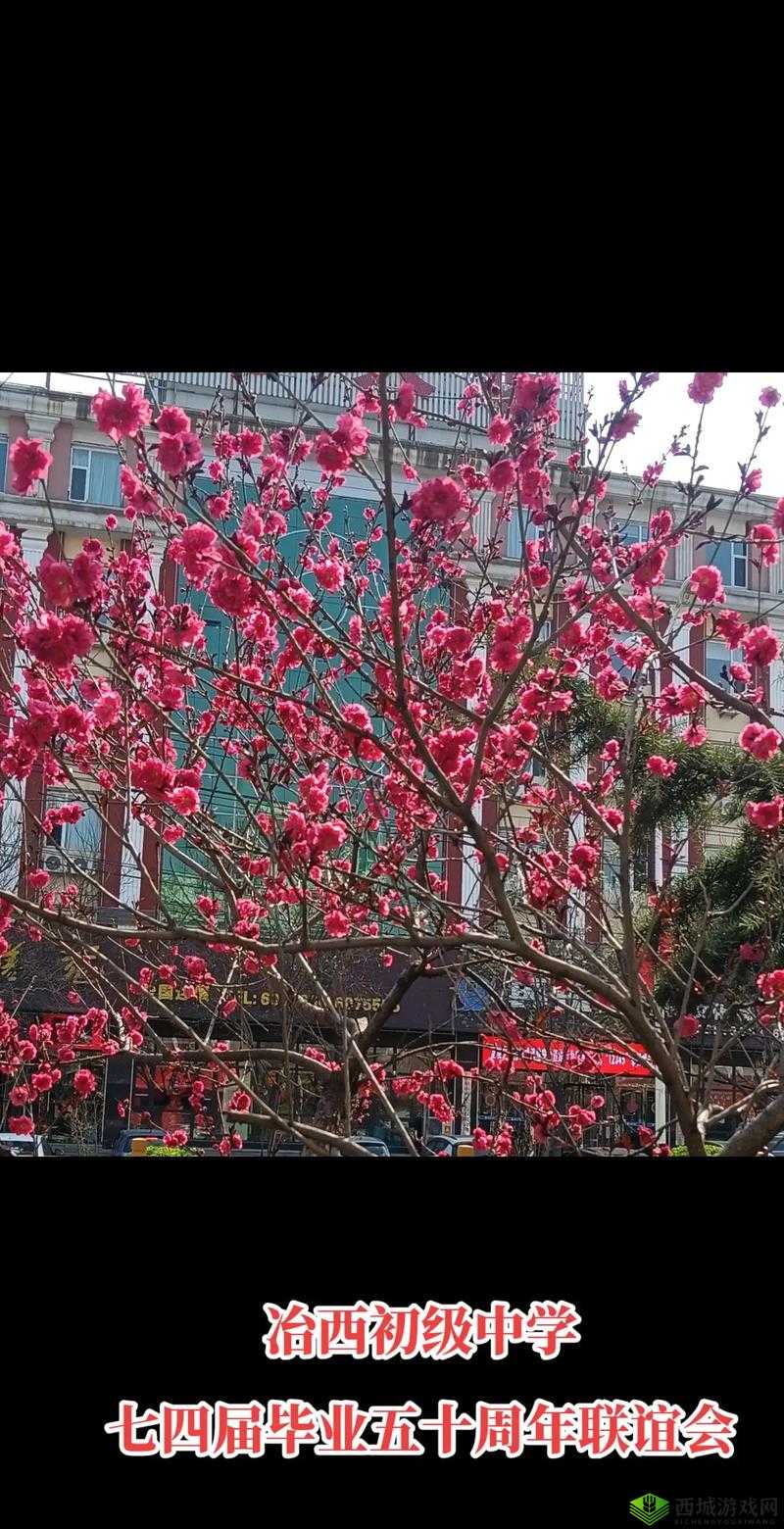 她开始慢迎迎合徐平雪周玉梅：一段独特的经历