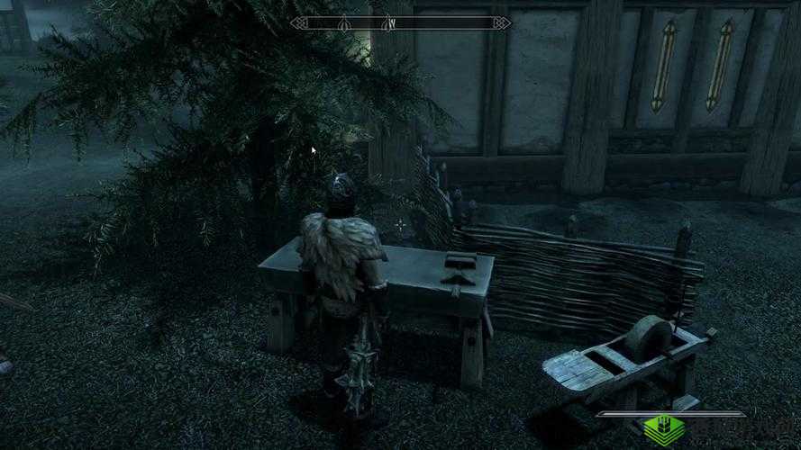 上古卷轴 5 中关于吸血操作的全面详细解析与技巧探讨