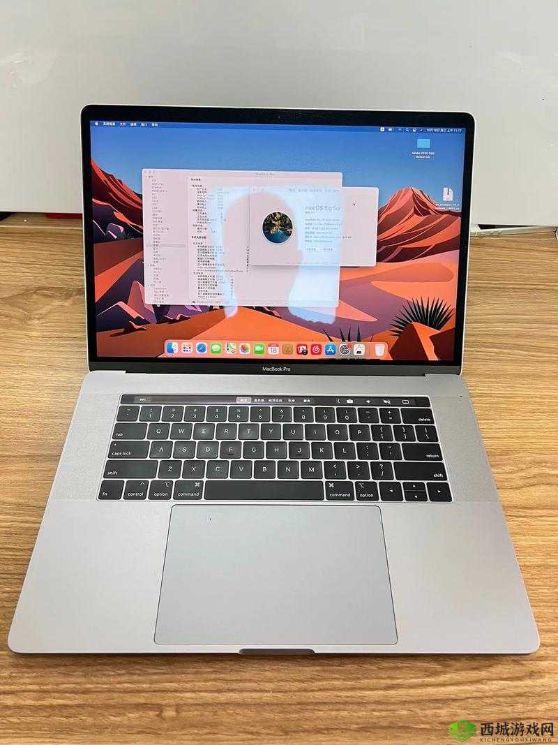 18 岁 macbook pro 高清功能，值得拥有