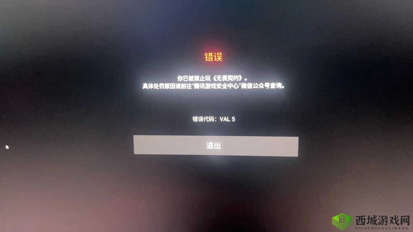 瓦罗兰特特战英豪错误代码全面解析与解决方案