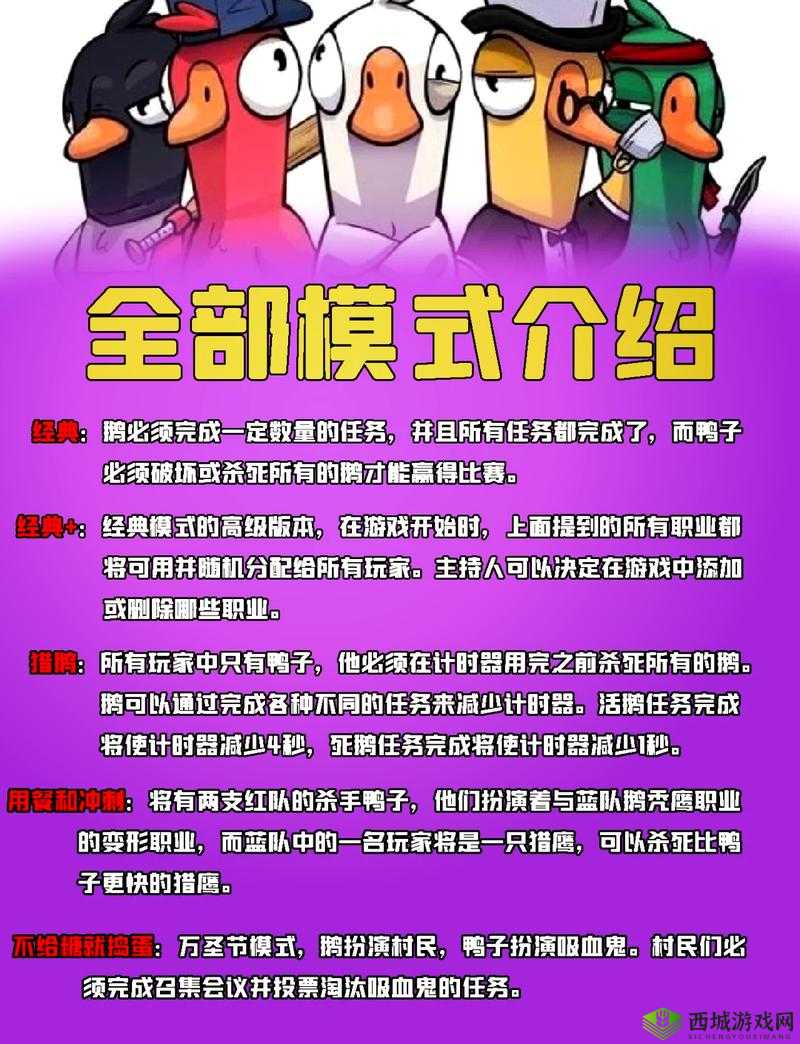 鹅鸭杀侦探玩法全解：从线索探寻到真相揭秘攻略