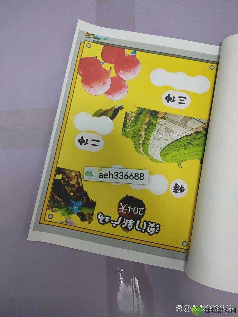 三叶草 fy3366 在线观看：精彩不断，等你来发现