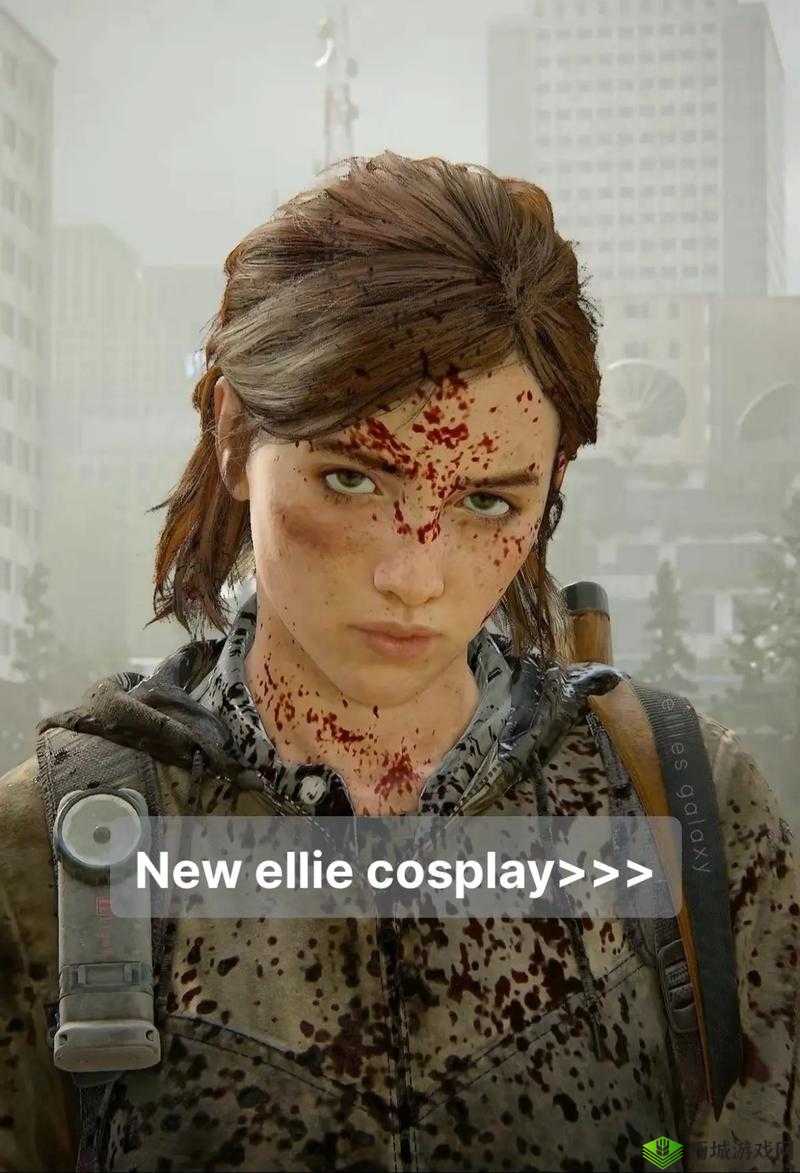 美国末日遗留物品收集对话全攻略 详细解读与技巧分享