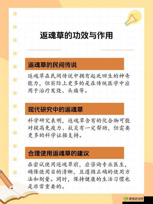 药效 1V2HPO：神奇功效的深度解析